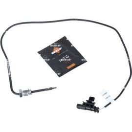 Sensor, Abgastemperatur 707327