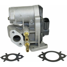 AGR-Ventil 0892432