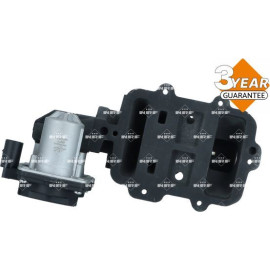 AGR-Ventil 48676