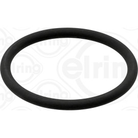 Dichtring 573.290