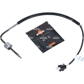 Sensor, Abgastemperatur 707376