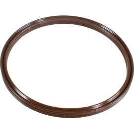 Dichtring 2430005