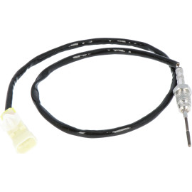 Sensor, Abgastemperatur 9 8161 1