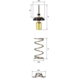 Thermostat, Kühlmittel TX 257 82D