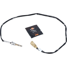 Sensor, Abgastemperatur 707113