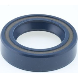 Dichtring 12010852B
