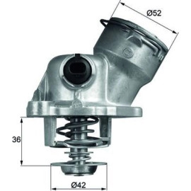 Thermostat, Kühlmittel TM 29 100D