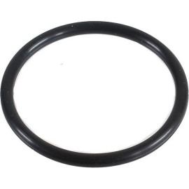 Dichtring 2430047