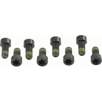 Sachs 1874 000 006 Schraubensatz, Schwungrad Sachs 1874 000 006 Schraubensatz, Schwungrad