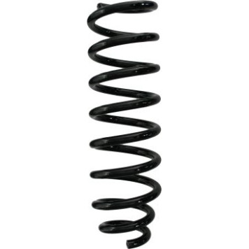 2x Spidan 56673 Fahrwerksfeder 2 x 2x Spidan 56673 Fahrwerksfeder 2 x