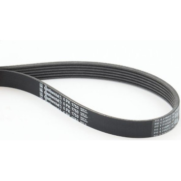 ContiTech 6PK1750 Keilrippenriemen