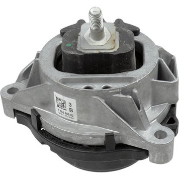 Lemförder 39433 01 Lagerung, Motor