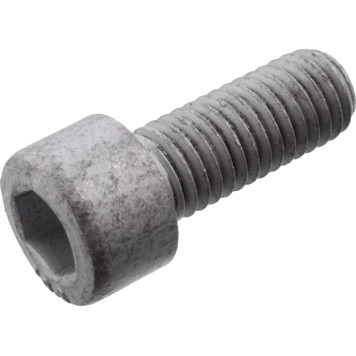 FEBI BILSTEIN 101234 Achsschraube, Antriebswelle