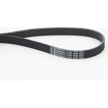 ContiTech 6PK1440 Keilrippenriemen