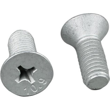 Metzger 11676K Schraube, Bremsscheibe Metzger 11676K Schraube, Bremsscheibe