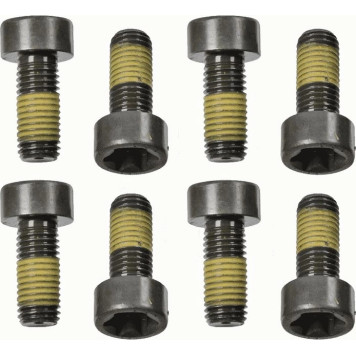 Sachs 1874 000 058 Schraubensatz, Schwungrad Sachs 1874 000 058 Schraubensatz, Schwungrad