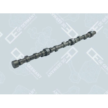 Nockenwelle für Scania D 11 DS 11 DSC 11 325 646 OEGERMANY 050500110000 Nockenwelle für Scania D 11 DS 11 DSC 11 325 646 OEGERMANY 050500110000