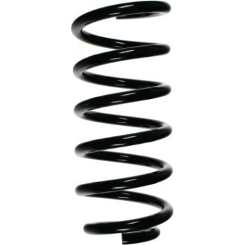 Spidan 56880 Fahrwerksfeder