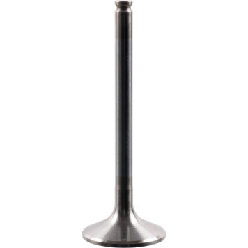 FEBI BILSTEIN 15368 Einlassventil