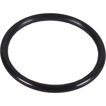 Metzger 2430159 Dichtring, Lader