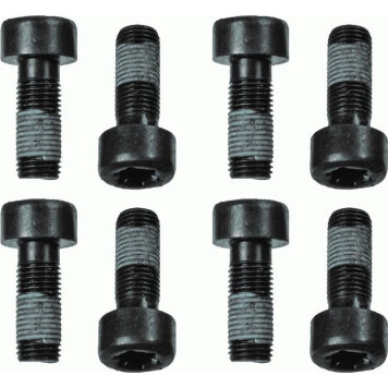 Sachs 1874 000 060 Schraubensatz, Schwungrad Sachs 1874 000 060 Schraubensatz, Schwungrad