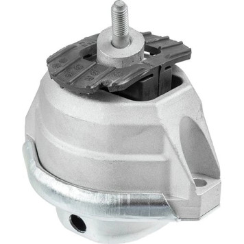 Lemförder 29827 01 Lagerung, Motor