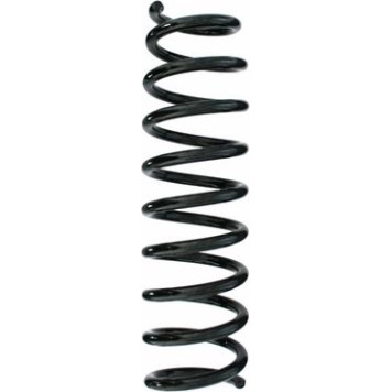 2x Spidan 87254 Fahrwerksfeder 2 x
