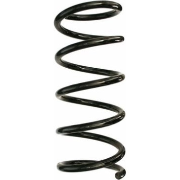 Spidan 87534 Fahrwerksfeder Spidan 87534 Fahrwerksfeder