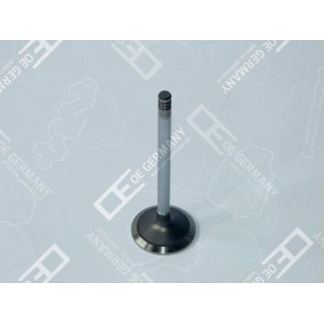 6x Einlassventil Einlassseite für Deutz BFM 1013 C/E/EC/ECP D 5 A TD 520 GE TAD 6x Einlassventil Einlassseite für Deutz BFM 1013 C/E/EC/ECP D 5 A TD 520 GE TAD