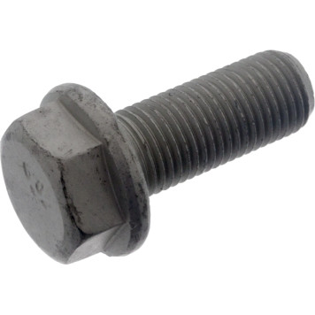 FEBI BILSTEIN 48810 Schraube, Bremssattel