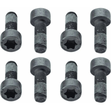 Sachs 1874 000 010 Schraubensatz, Schwungrad Sachs 1874 000 010 Schraubensatz, Schwungrad