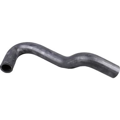 2421081 Kühlerschlauch