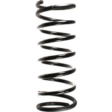 Spidan | Fahrwerksfeder | 49418