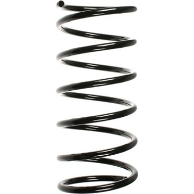 Spidan | Fahrwerksfeder | 55161