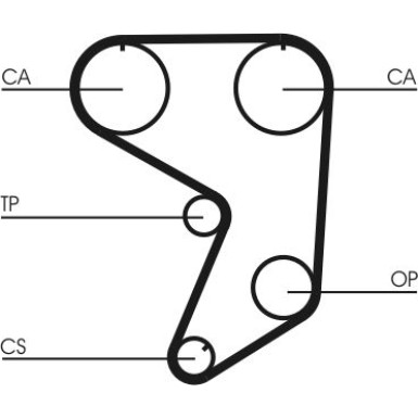 CT900 Zahnriemen CT900 Zahnriemen