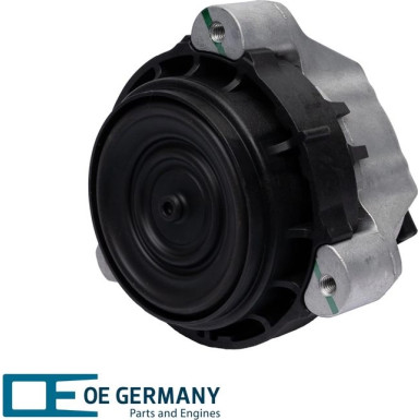 OE Germany | Lagerung, Motor | 801225