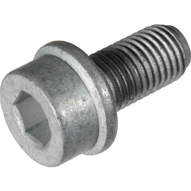 Metzger Schraube, Bremssattel 6269002