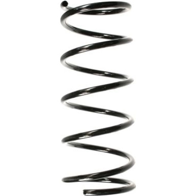 Spidan | Fahrwerksfeder | 55773
