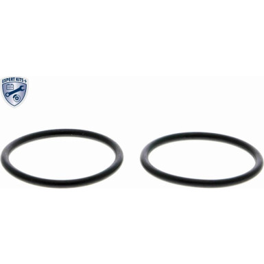 V15-99-2076 Thermostatgehäuse EXPERT KITS +