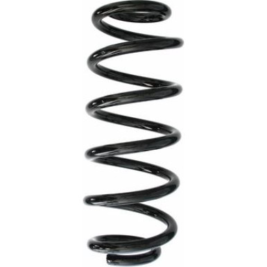 Spidan | Fahrwerksfeder | 87642