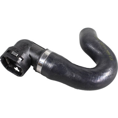 2421998 Kühlerschlauch