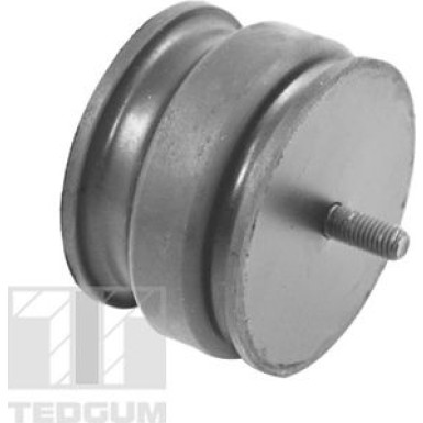 Tedgum | Lagerung, Motor | 00221175