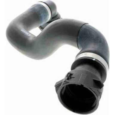 Vaico | Kühlerschlauch | V20-1762