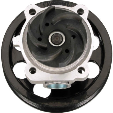 WP0120 Wasserpumpe, Motorkühlung