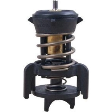 Mahle | Thermostat, Kühlmittel | TX 251 94D