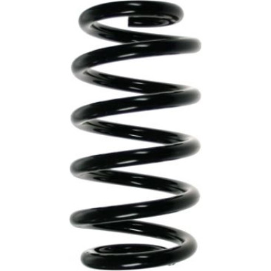 Spidan | Fahrwerksfeder | 56861