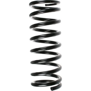 Spidan | Fahrwerksfeder | 48169