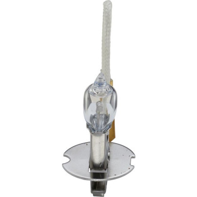 BOSCH | Glühlampe, Hauptscheinwerfer | 1 987 302 431