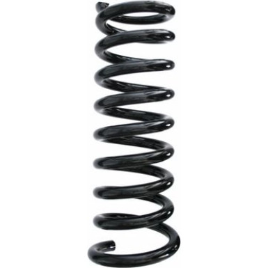 Spidan | Fahrwerksfeder | 49224