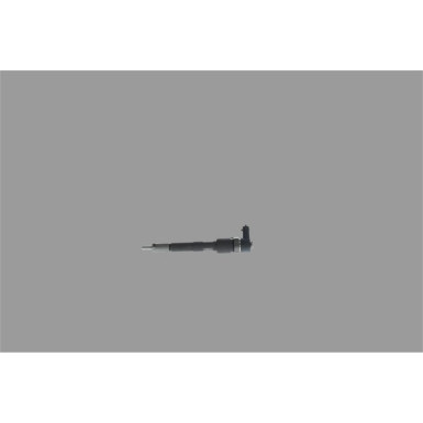 BOSCH 0 445 110 351 Einspritzdüse